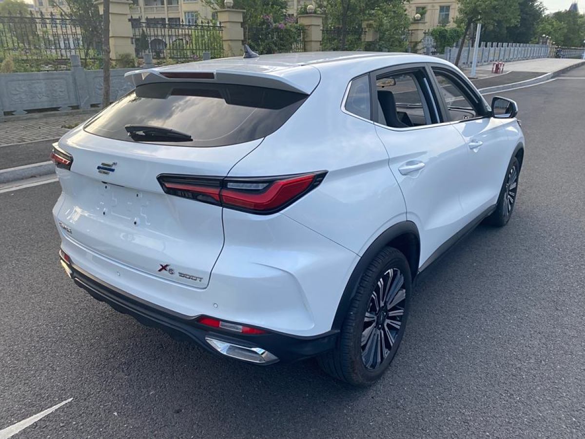 長(zhǎng)安歐尚 長(zhǎng)安歐尚X5  2021款 1.5T DCT旗艦型圖片