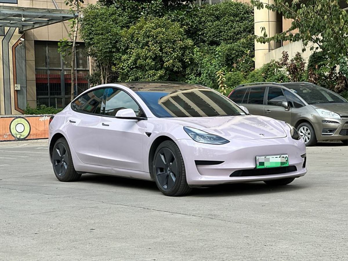 2022年3月特斯拉 Model 3  2022款 改款 后輪驅(qū)動版