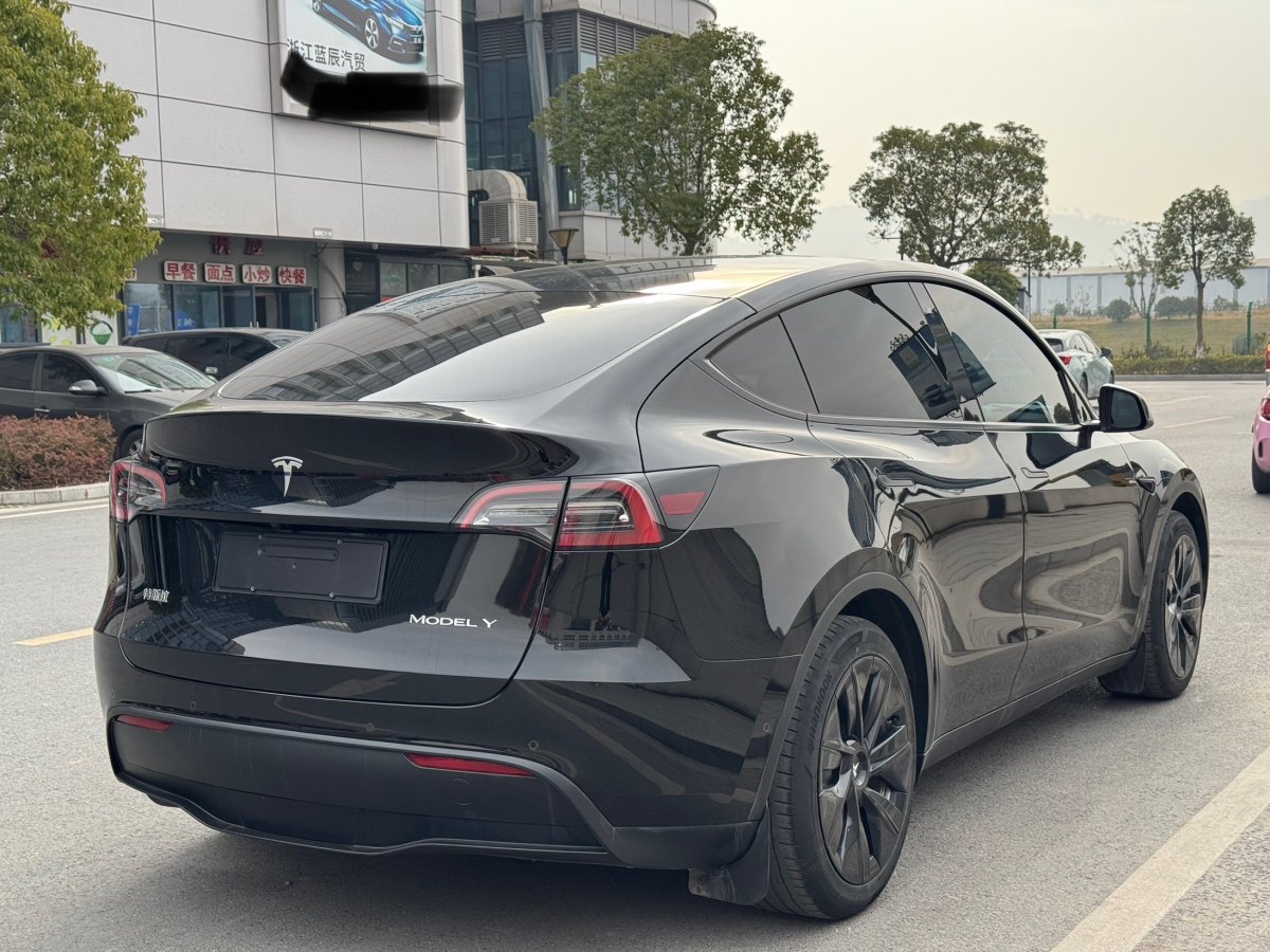 特斯拉 Model 3  2022款 后輪驅(qū)動版圖片