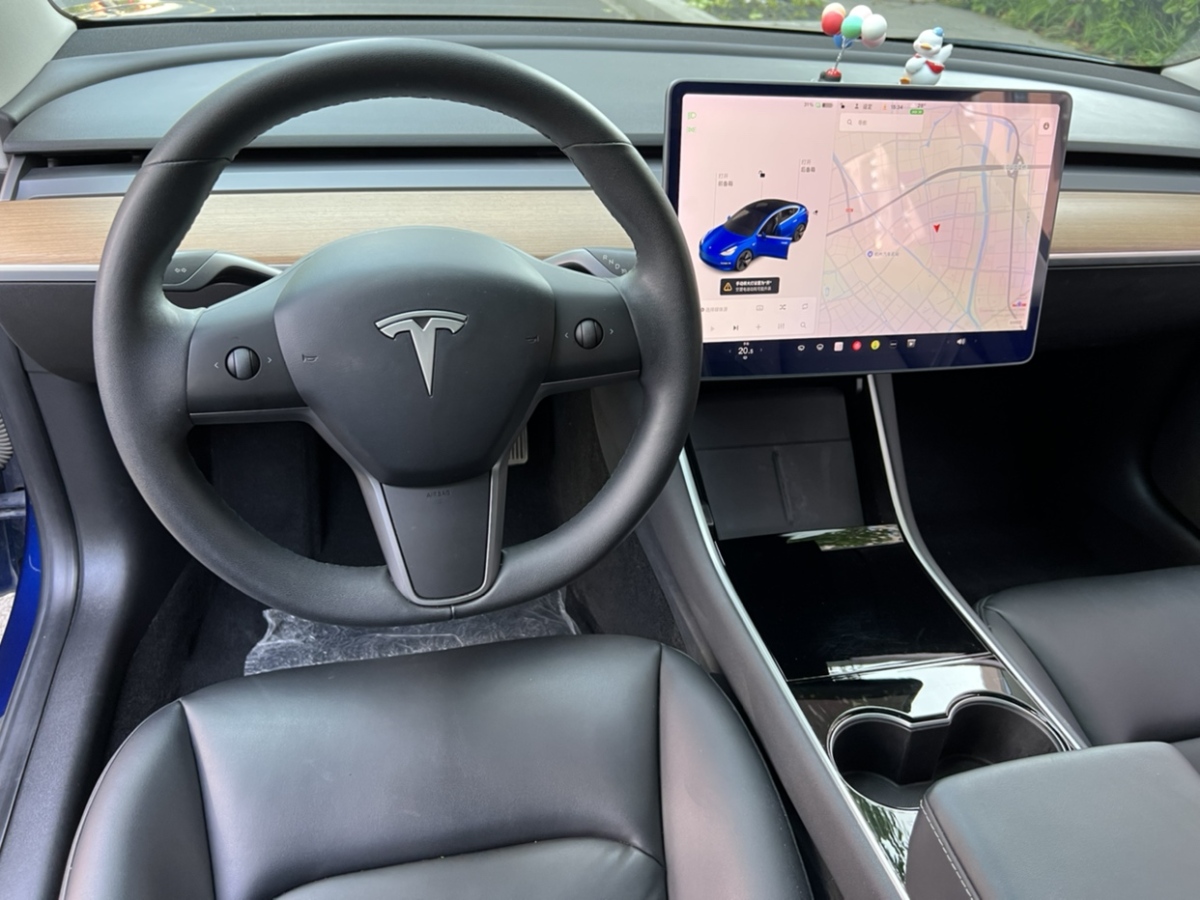 特斯拉 Model 3  2020款 標準續(xù)航后驅(qū)升級版圖片
