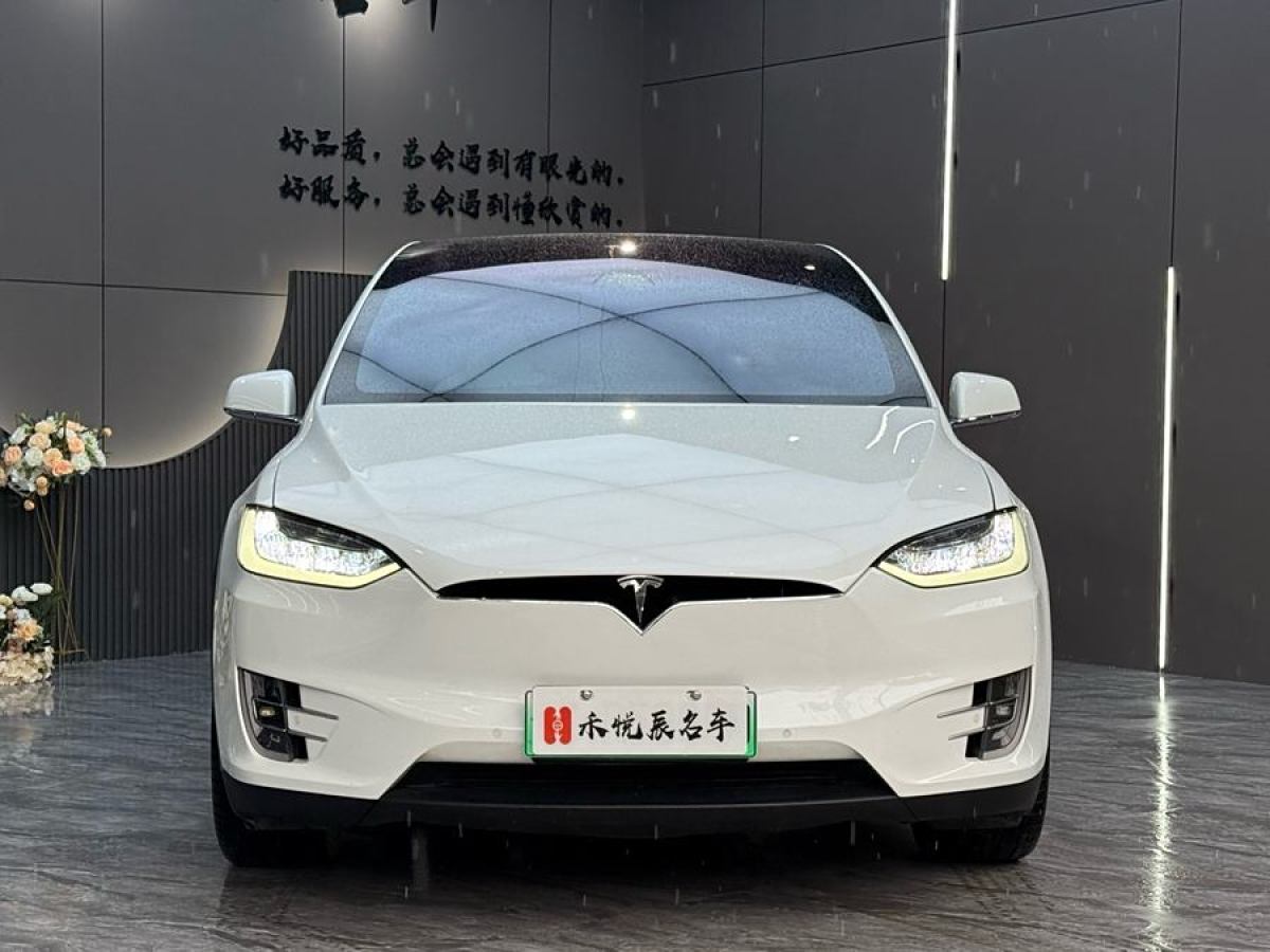 特斯拉 Model X  2017款 Model X 100D 長續(xù)航版圖片