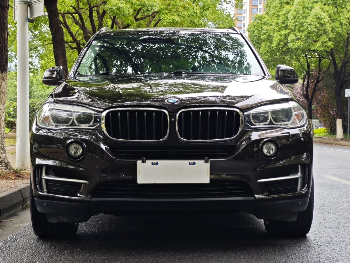 寶馬 寶馬X5  2015款 xDrive35i中國限量版圖片