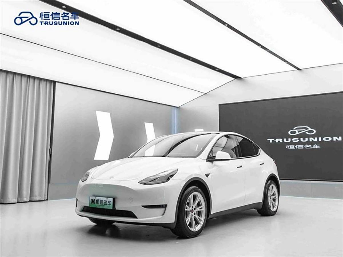 特斯拉 Model Y  2022款 改款 長續(xù)航全輪驅(qū)動(dòng)版圖片