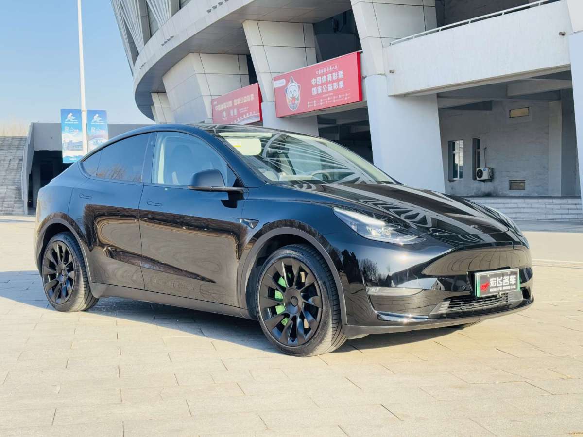 特斯拉 Model Y  2021款 長(zhǎng)續(xù)航全輪驅(qū)動(dòng)版 3D7圖片