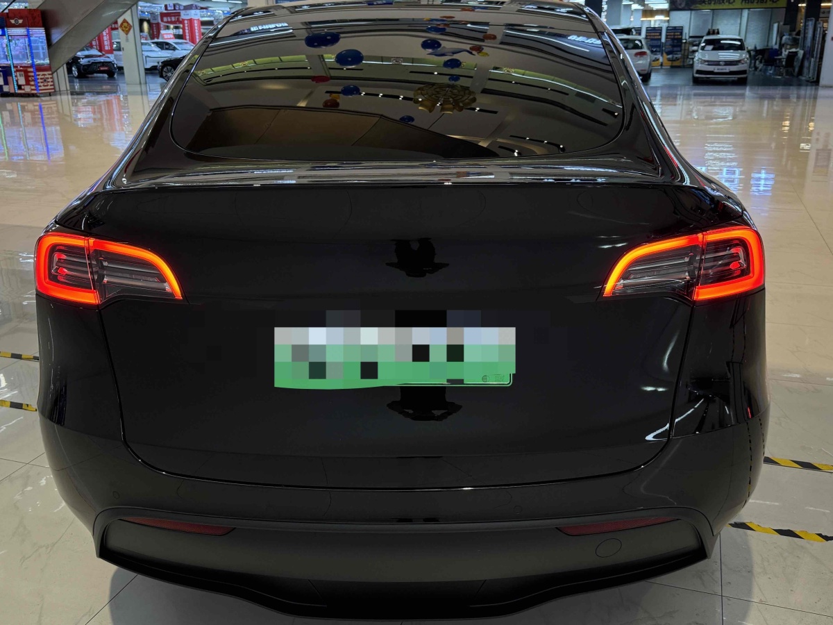 特斯拉 Model Y  2020款 改款 長續(xù)航后輪驅(qū)動版圖片