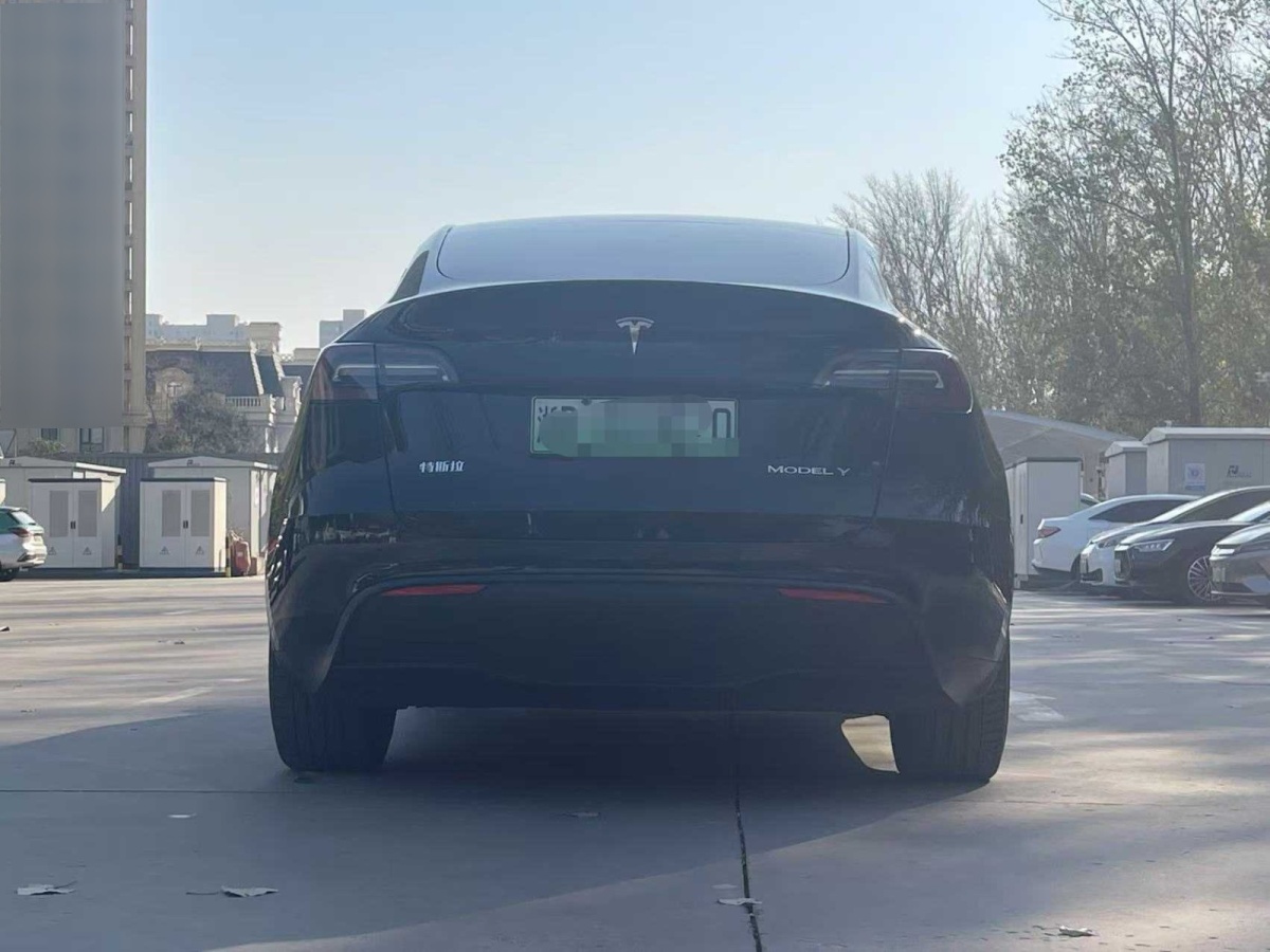 特斯拉 Model 3  2021款 改款 標(biāo)準(zhǔn)續(xù)航后驅(qū)升級版圖片