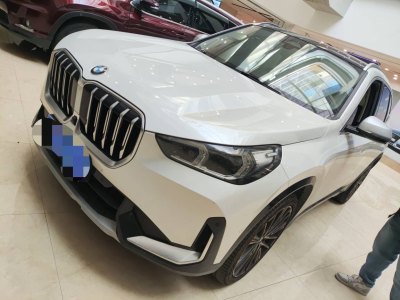 2023年6月 寶馬 寶馬X1 xDrive25Li X設(shè)計(jì)套裝圖片