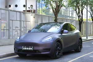 Model Y 特斯拉 后轮驱动版