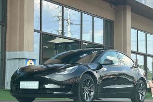 Model 3 特斯拉 标准续航后驱升级版