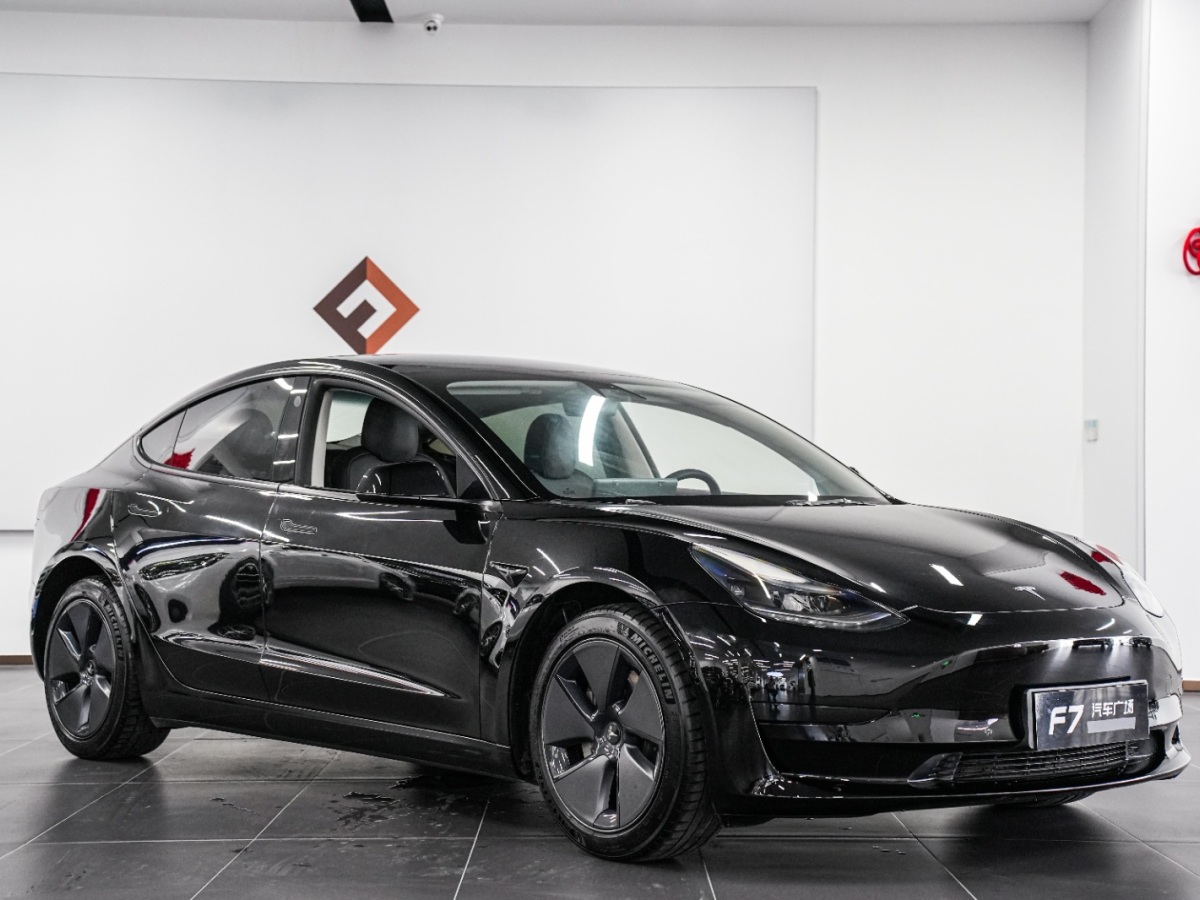 特斯拉 Model 3  2019款 Performance高性能全輪驅(qū)動版圖片