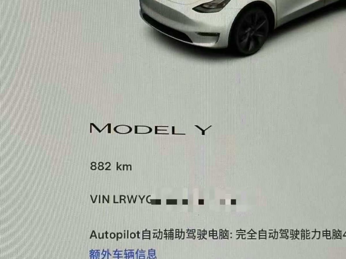 特斯拉 Model Y  2024款 Performance高性能版圖片