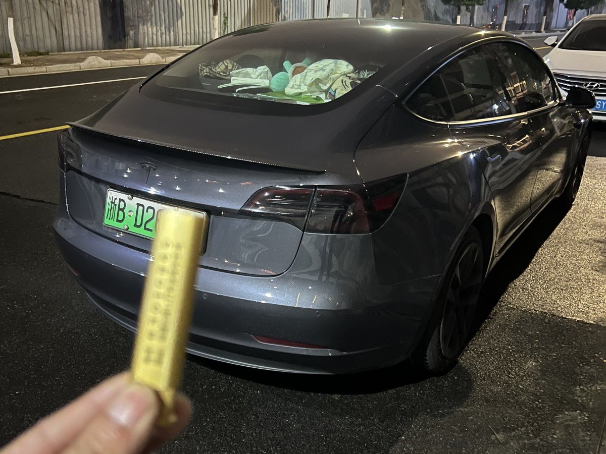 特斯拉 Model 3  2019款 標(biāo)準(zhǔn)續(xù)航后驅(qū)升級(jí)版圖片