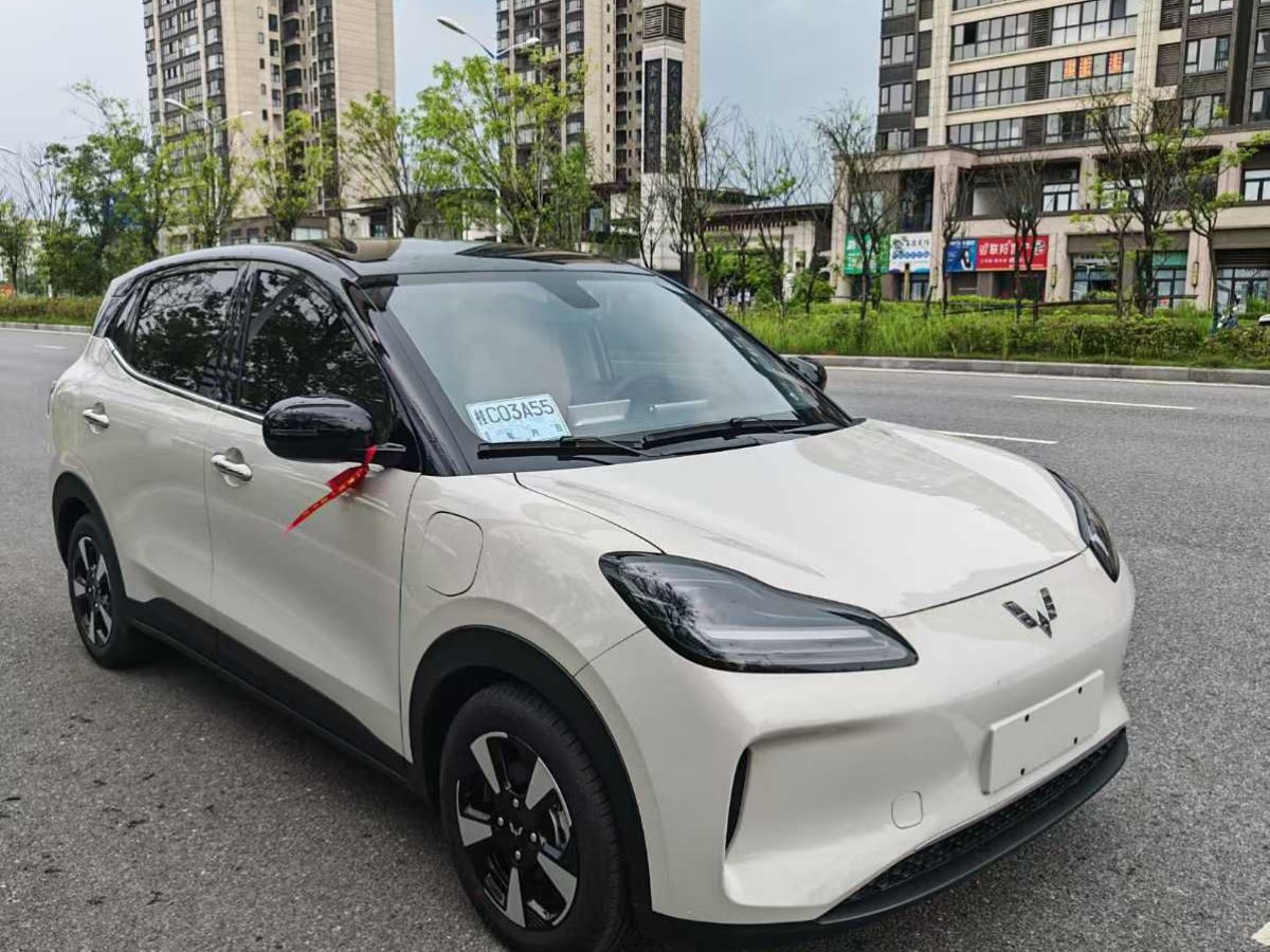 五菱 菱勢黃金小卡  2025款 倉柵 頂配版圖片