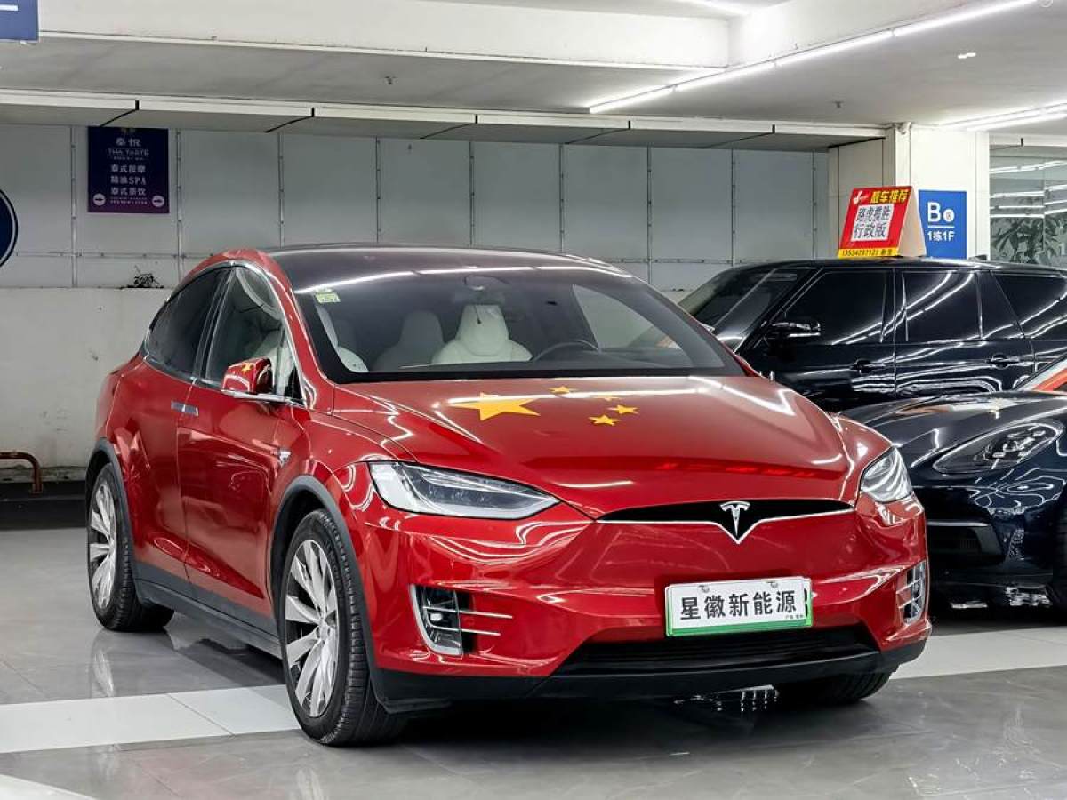 特斯拉 Model X  2019款 長續(xù)航版圖片