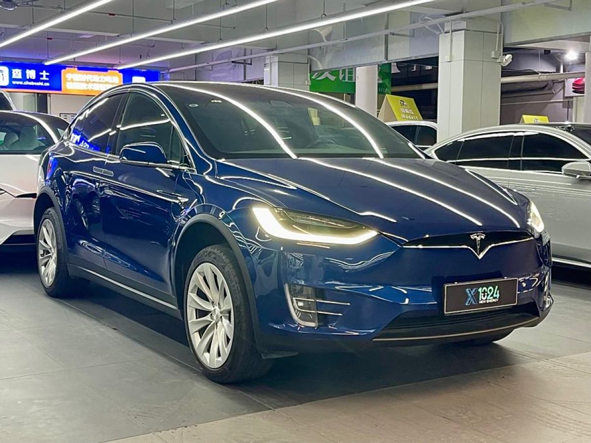 特斯拉 Model X  2019款 長(zhǎng)續(xù)航版圖片