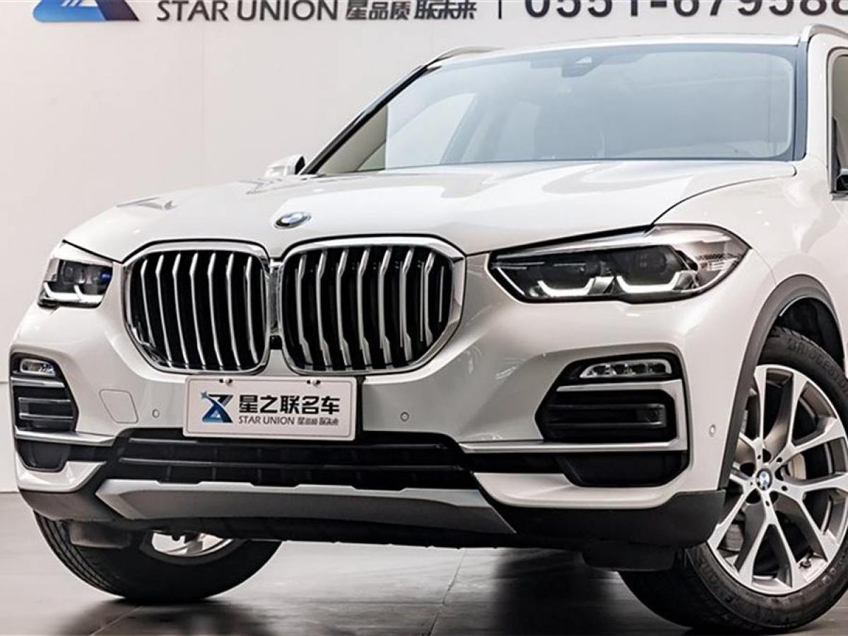 寶馬 寶馬X5  2019款 xDrive30i X設(shè)計(jì)套裝圖片