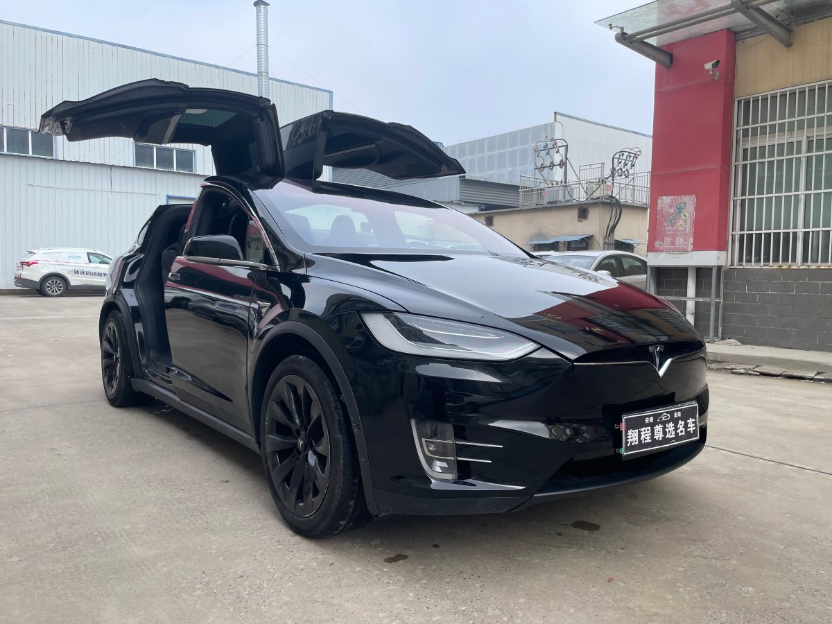 特斯拉 Model X  2020款 長(zhǎng)續(xù)航升級(jí)版圖片