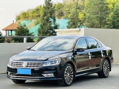 2016年6月 大眾 帕薩特 330TSI DSG御尊版圖片