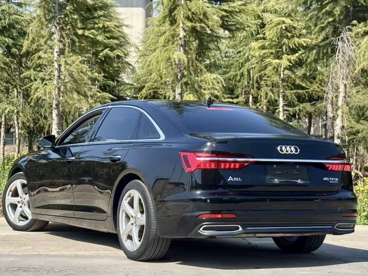 奧迪 奧迪A6L  2019款 45 TFSI quattro 臻選致雅型圖片