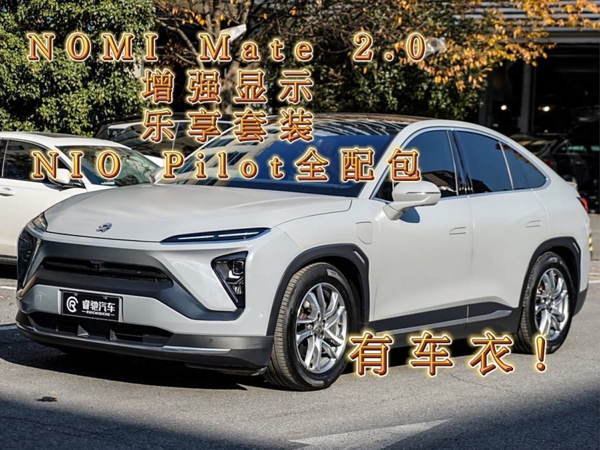 蔚來 蔚來EC6  2020款 440KM 性能版圖片