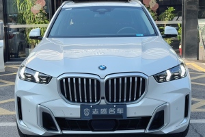 宝马X5 宝马 xDrive 30Li 尊享型M运动套装