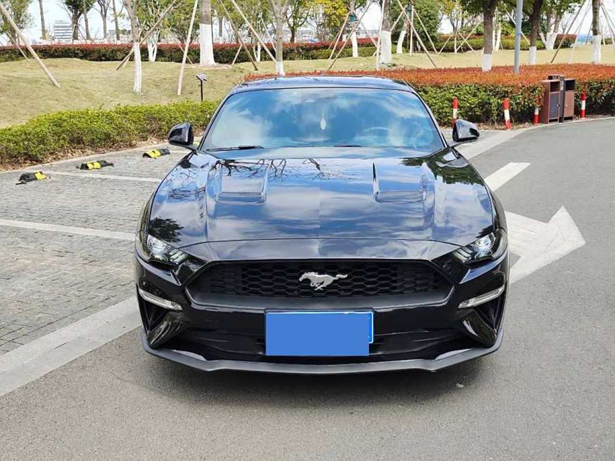 福特 Mustang  2021款 2.3L EcoBoost圖片