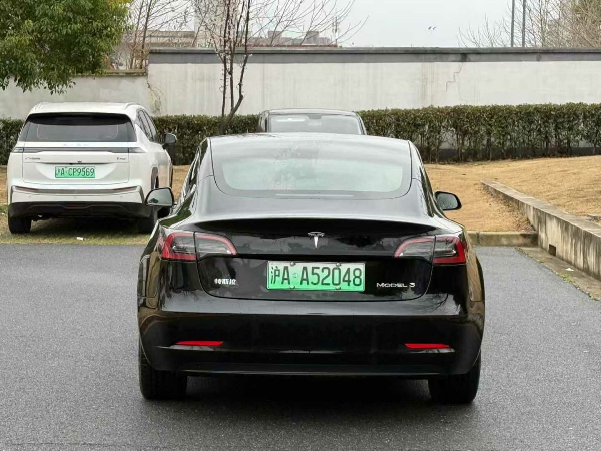 特斯拉 Model 3  2022款 Performance高性能全輪驅(qū)動(dòng)版圖片