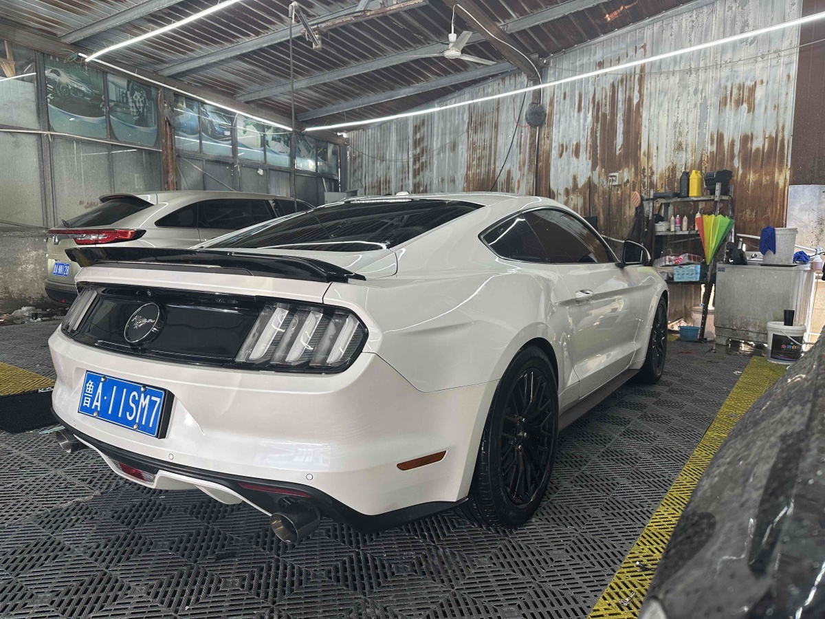 福特 Mustang  2017款 2.3T 性能版圖片