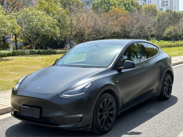 特斯拉 Model Y 长续航 全轮驱动版