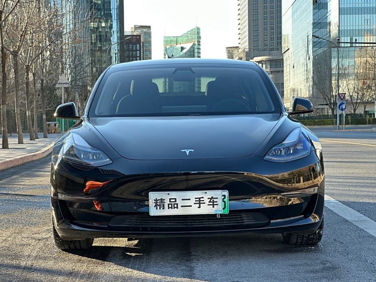 特斯拉 Model Y  2021款 Performance高性能全輪驅(qū)動版圖片