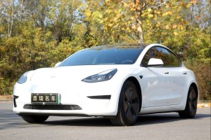 Model 3 特斯拉 后驱版