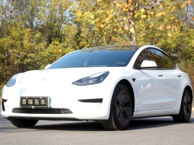 2023年3月 特斯拉 Model 3 后驅(qū)版圖片