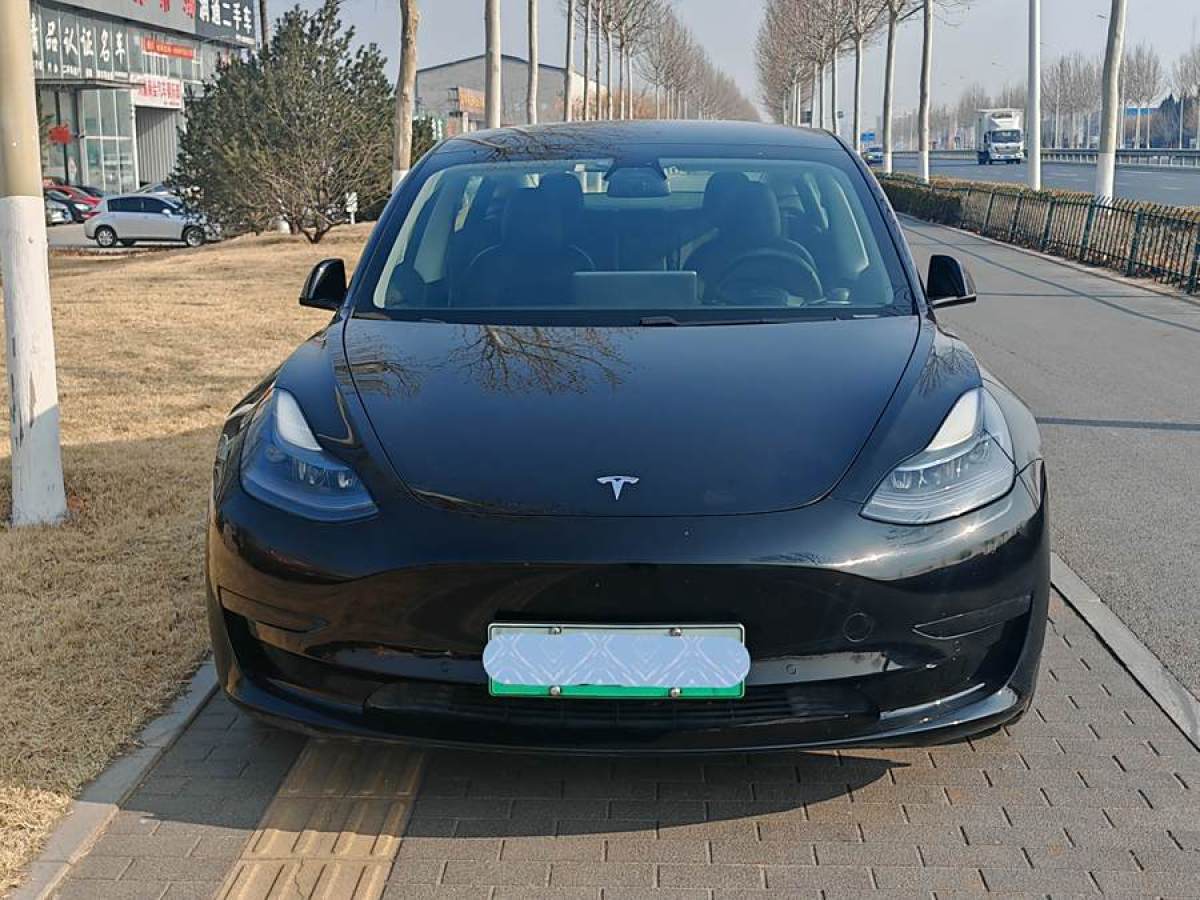 2021年3月特斯拉 Model 3  2021款 改款 標準續(xù)航后驅(qū)升級版