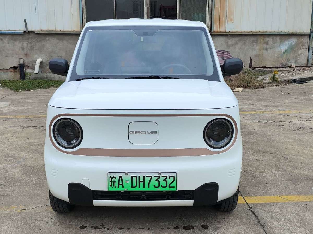 吉利 熊貓mini  2023款 200km 耐力熊圖片