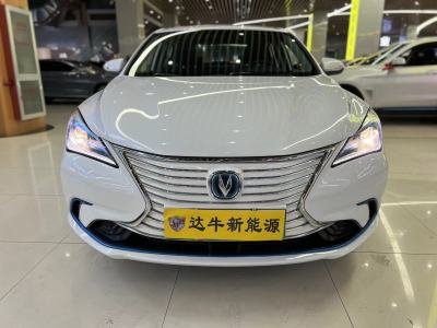 2020年1月 長安 逸動(dòng)新能源 EV460 智享版圖片