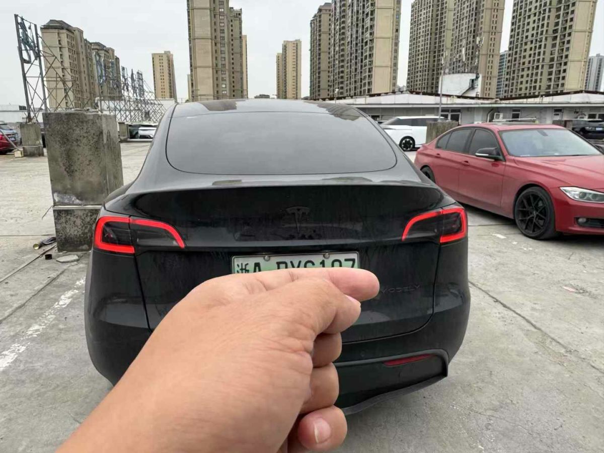 特斯拉 Model 3  2022款 Performance高性能全輪驅(qū)動版圖片