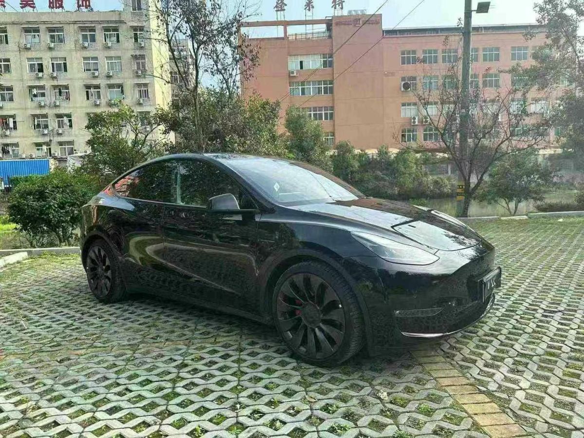 特斯拉 Model 3  2022款 Performance高性能全輪驅動版圖片