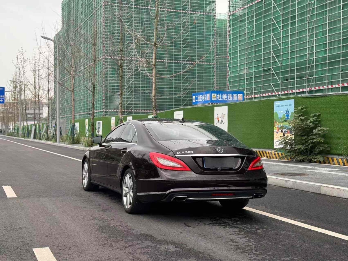 奔馳 奔馳CLS級  2012款 CLS 300 CGI圖片