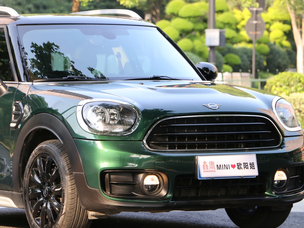 MINI COUNTRYMAN  2018款 1.5T COOPER ALL4 藝術(shù)家圖片