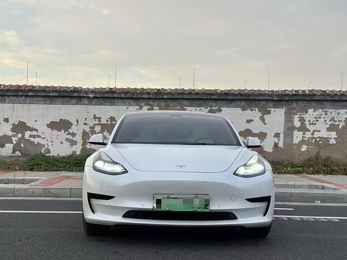 特斯拉 Model 3  2021款 標(biāo)準(zhǔn)續(xù)航后驅(qū)升級(jí)版 3D6圖片