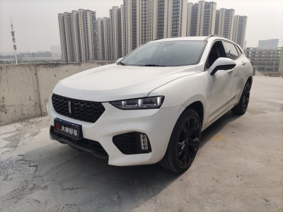 2018年10月 WEY VV7 2.0T 旗舰型图片