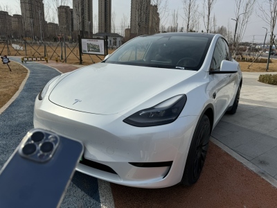 2022年03月 特斯拉 Model Y 后驅(qū)版圖片