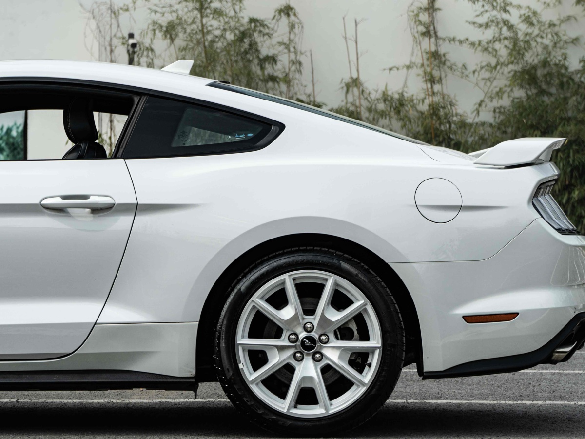 福特 Mustang  2022款 2.3L EcoBoost 元光极昼限量版图片