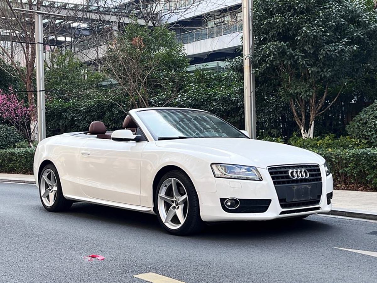 奧迪 奧迪A5  2010款 2.0TFSI Cabriolet圖片