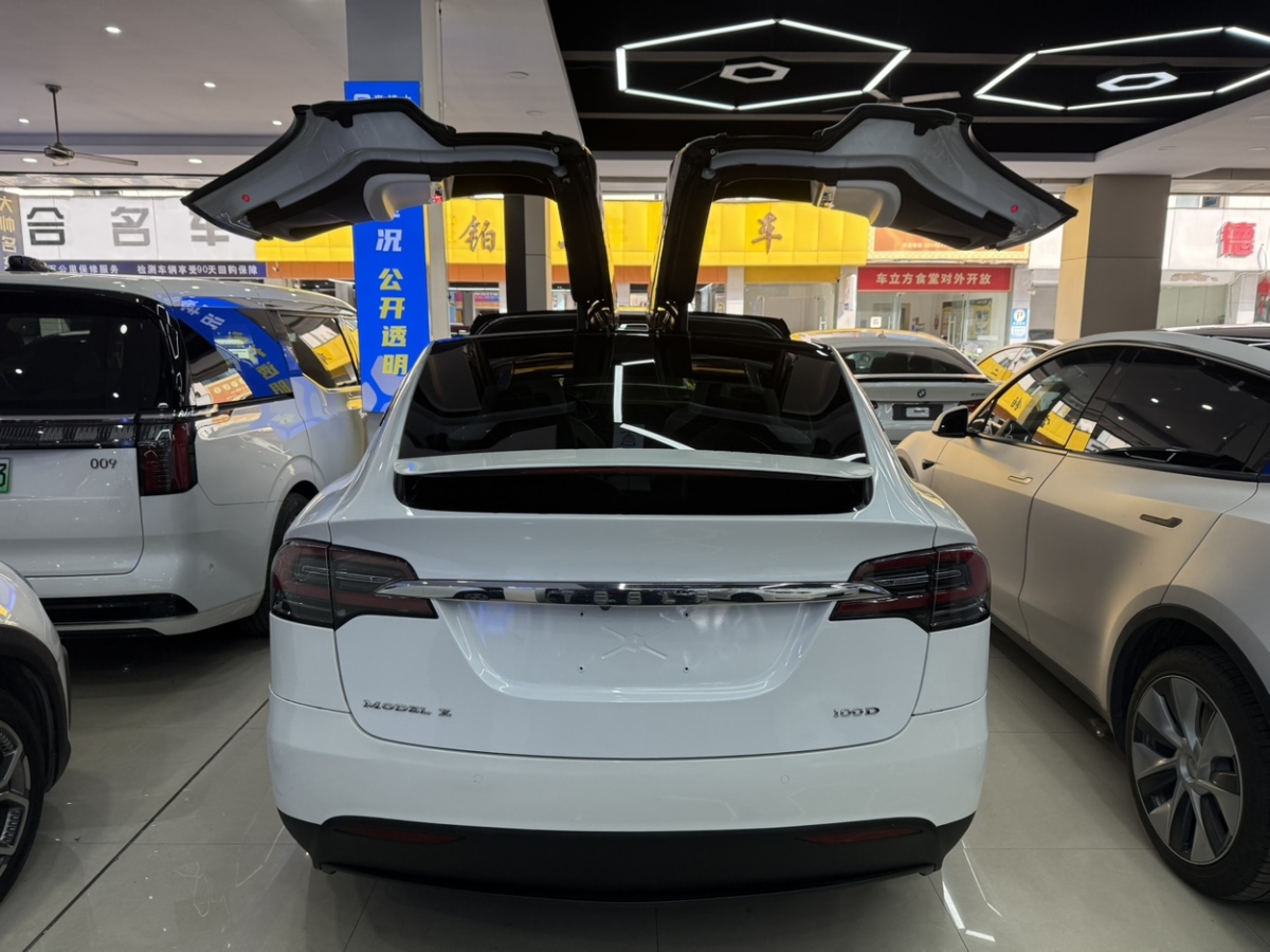 特斯拉 Model X  2019款 長續(xù)航版圖片