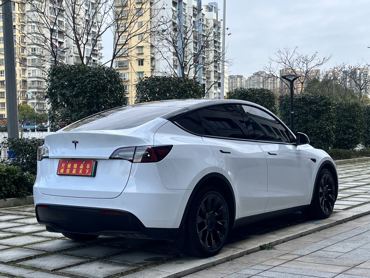 特斯拉 Model Y  2021款 長續(xù)航全輪驅(qū)動版 3D7圖片