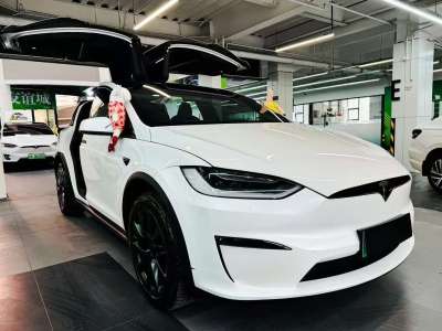 2023年10月 特斯拉 Model X 雙電機(jī)全輪驅(qū)動(dòng)版圖片