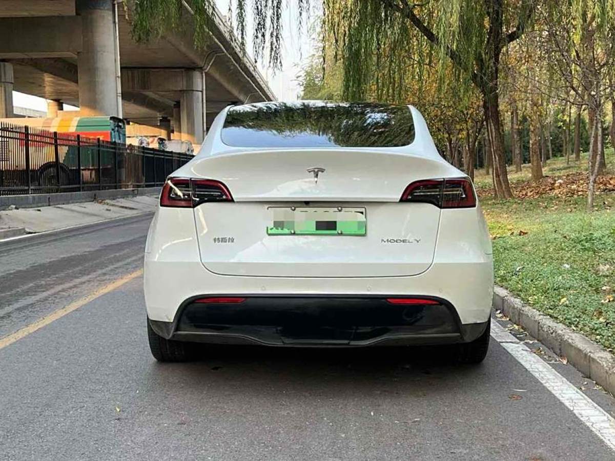 特斯拉 Model Y  2020款 改款 長續(xù)航后輪驅(qū)動版圖片