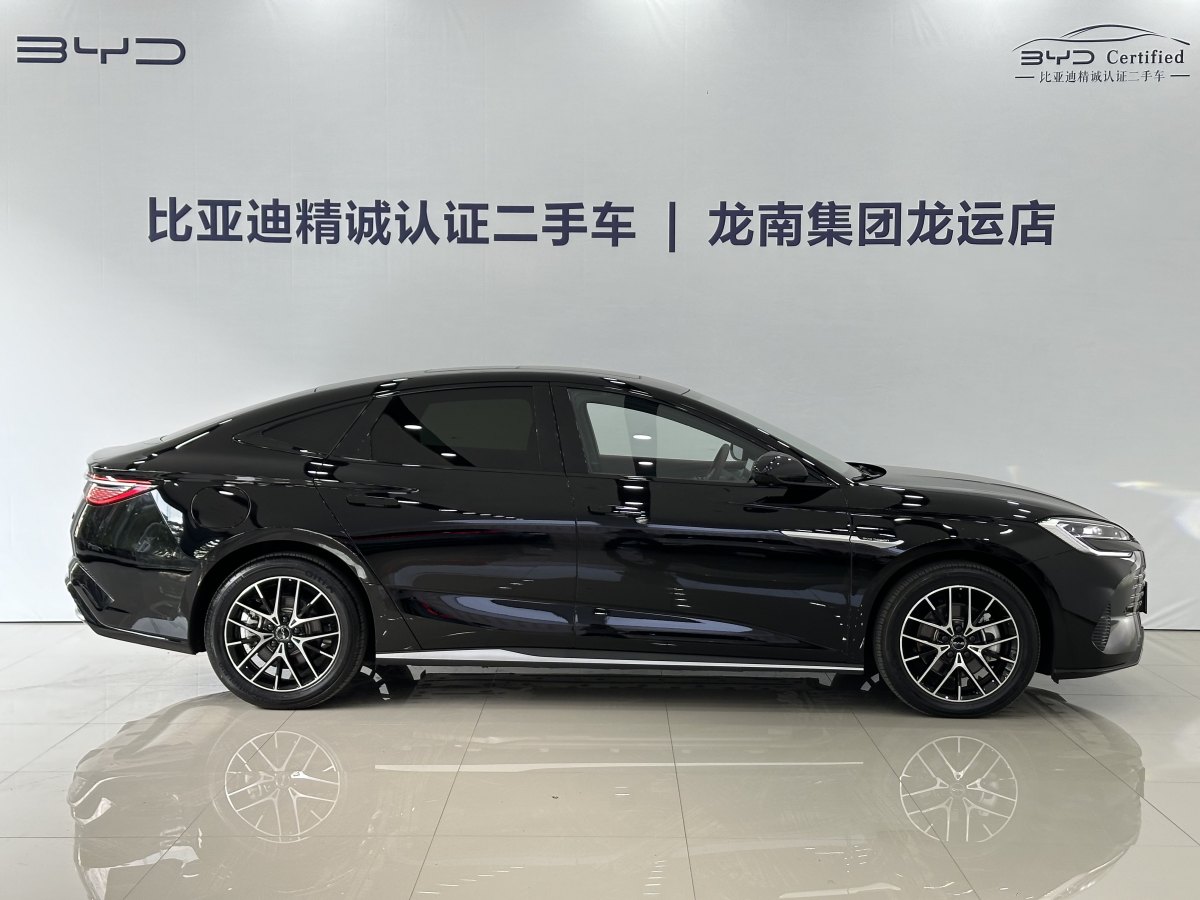 2023年11月比亞迪 海豹  2023款 DM-i 1.5L 121km 尊貴型