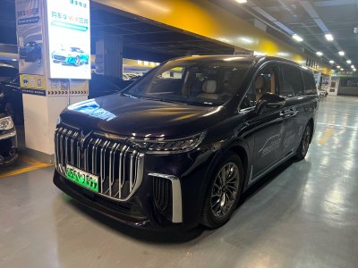 2023年10月 嵐圖 夢想家 PHEV 超長續(xù)航旗艦版圖片